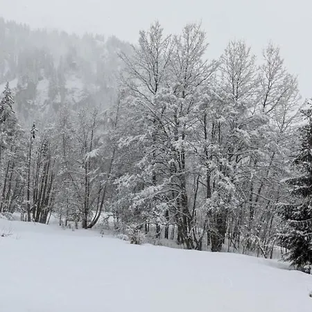 Madrilene, Rochebrune, Proche Telepherique Apartment Megeve